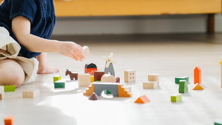 Produktbild Plantoys PlanW Landleben Spielset g