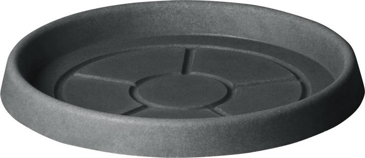 Actual product image Teraplast Saucer anthracite
