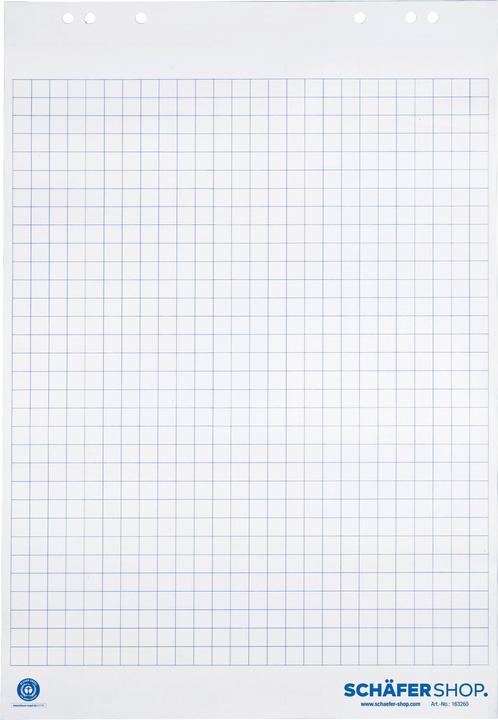 Schäfer Shop Bloc flipchart avec papier recyclé, quadrillé ou blanc, L 650 x H 980 mm, 5 pièces à 20 feuilles