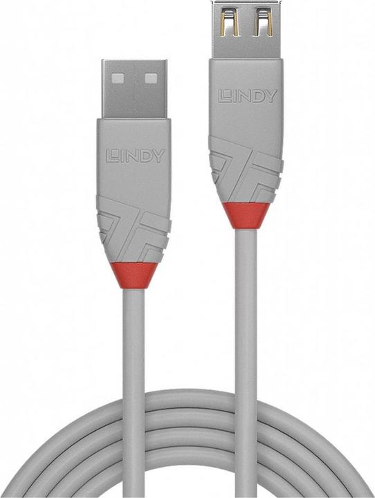 Productafbeelding Lindy USB A - USB A (1 m, USB 2.0)