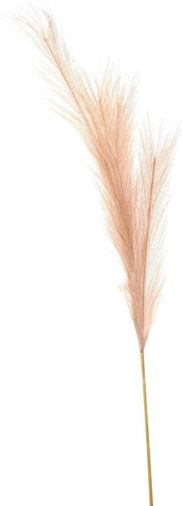 Image du produit Hill Interiors Fleur artificielle herbe de la pampa (30 cm)