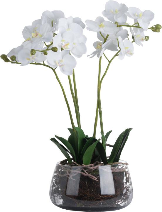 Hill Interiors Kunstblume Orchidee (61 cm)