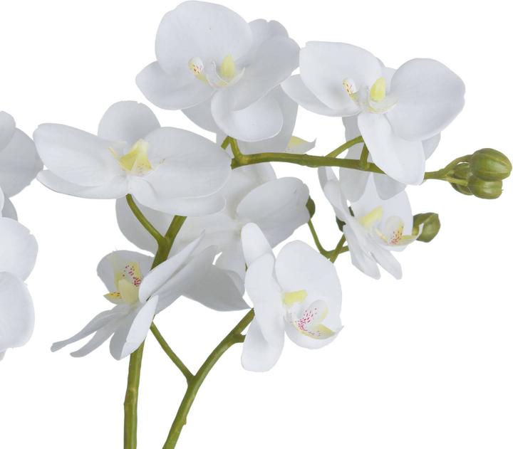 Produktbild Hill Interiors Kunstblume Orchidee (61 cm)