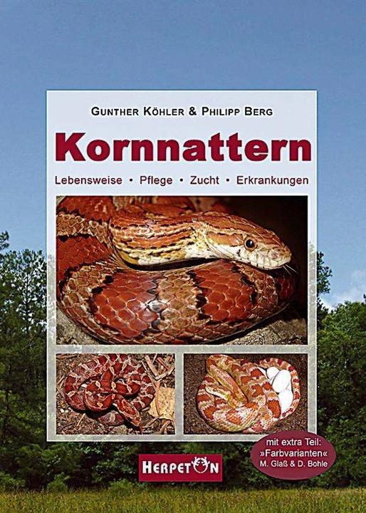 Produktbild Kornnattern (Deutsch, Gunther Köhler, 2005)