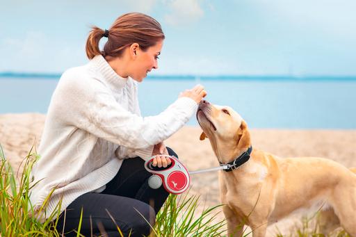 Actual product image Flexi New Comfort belt (XS, Dog, Walks)