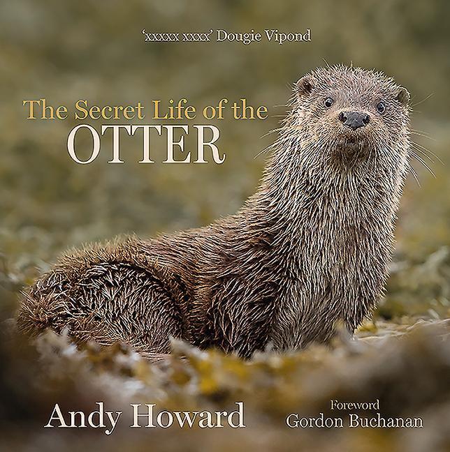 Produktbild The Secret Life of the Otter (Englisch, Andy Howard, 2021)
