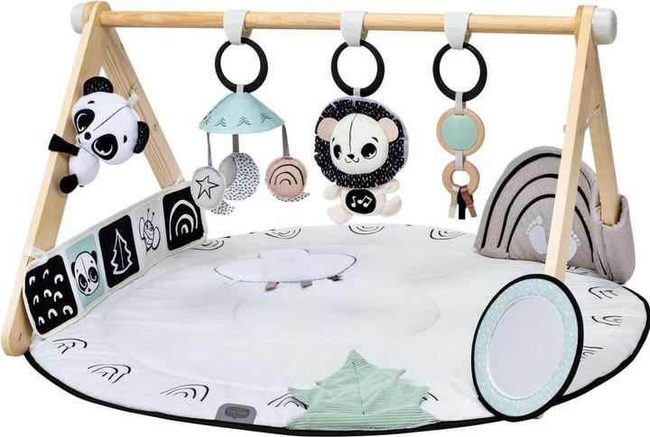 Tiny Love Luxe Gymini