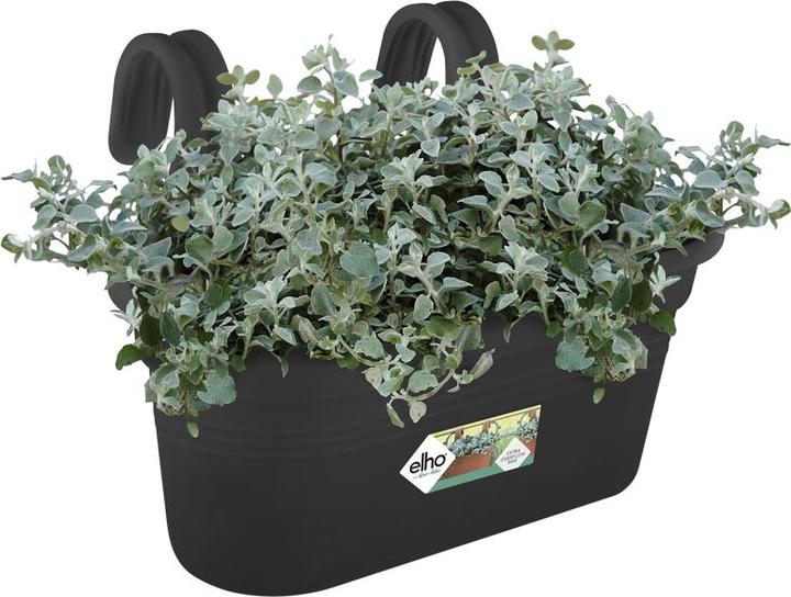 Actual product image Elho Easy Hanger Green Basics (26.30 cm)