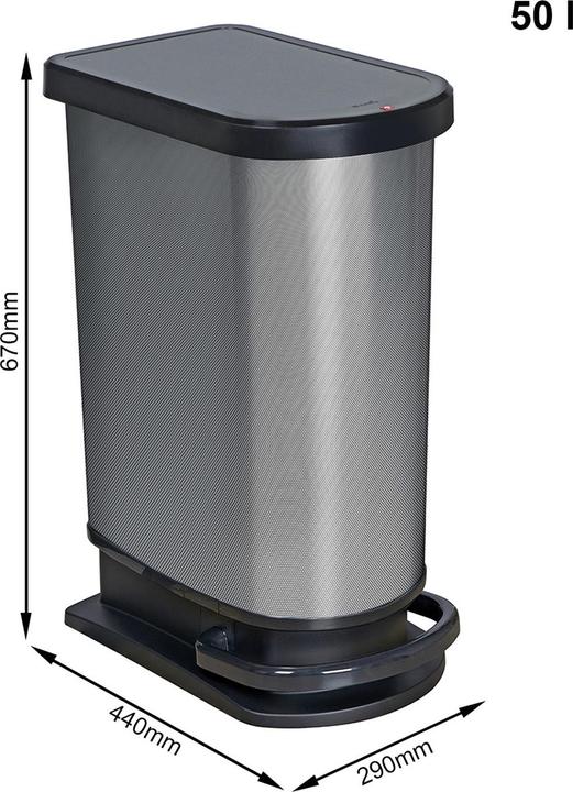 Immagine prodotto Rotho Paso (50 l)