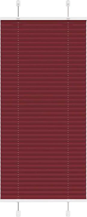 Rosso Bordeaux