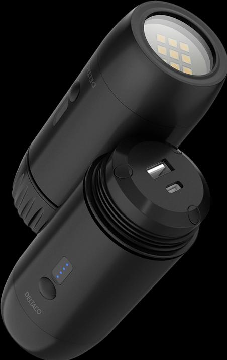 Deltaco PB-Q1002 power bank Lithium-Ion (Li-Ion) Black (15000 mAh)