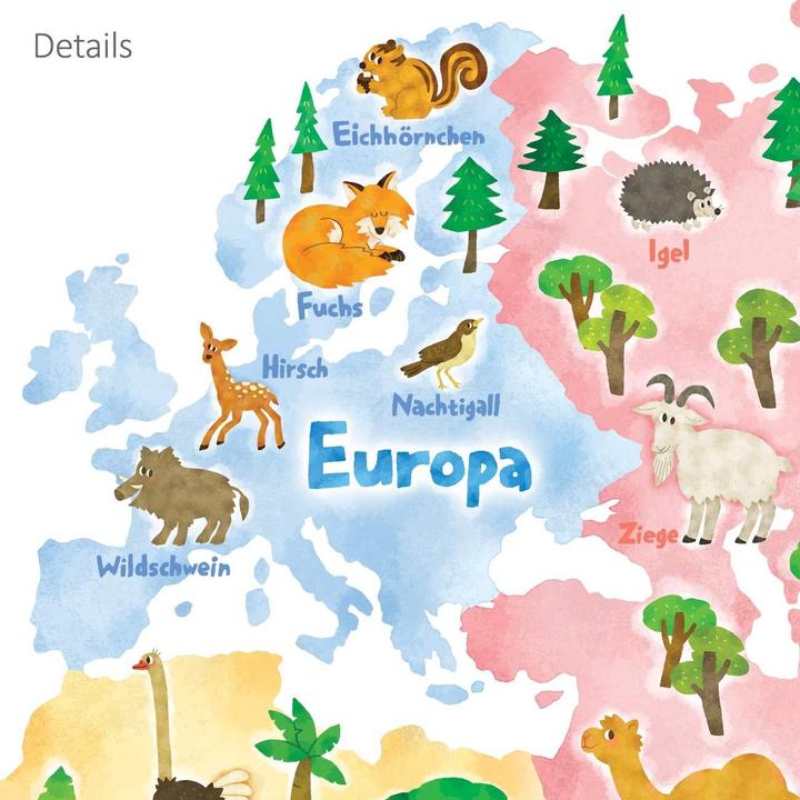 Actual product image Decowall Animal World Map (140 x 110 cm)