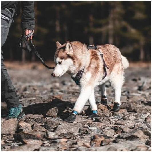 Produktbild Non-Stop Dogwear Protector (M, Hundebademantel)