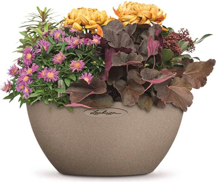 Image du produit Lechuza Cubeto Color (30 cm)