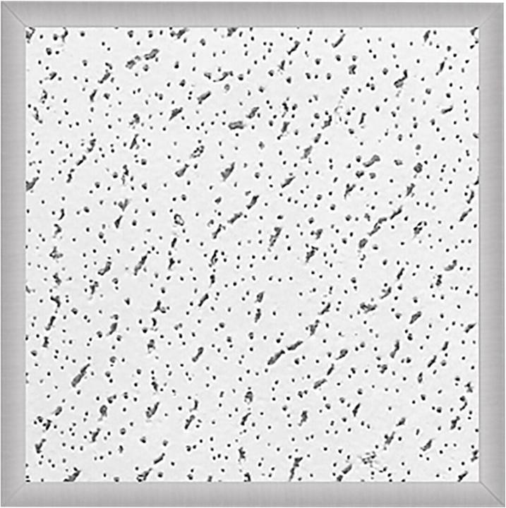 Immagine prodotto Celexon Telaio con profilo a T per i sollevatori a soffitto Expert (Soffitto)