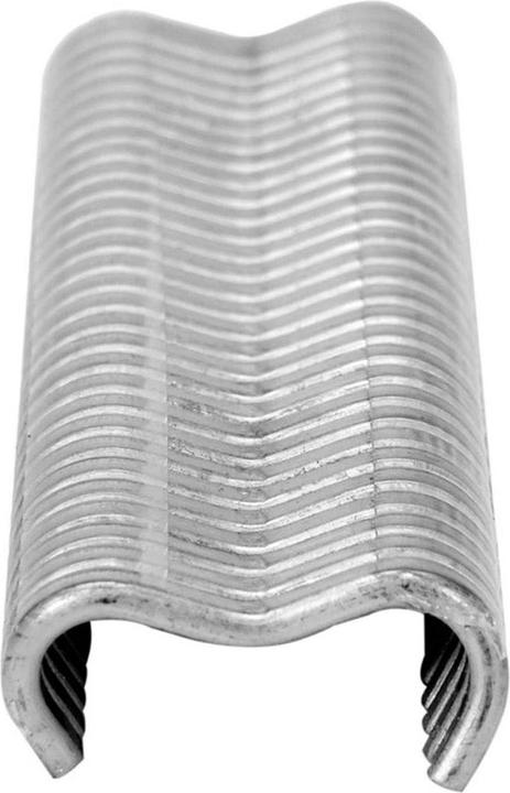 Image du produit Vorel Agrafes pour pince de fixation de fil 600 pcs. (600 x)