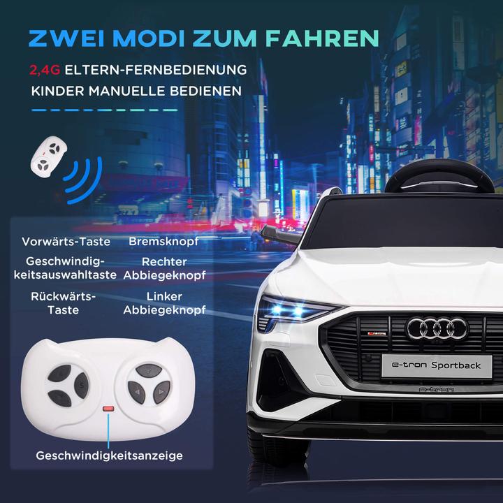 Immagine prodotto Jamb Audi e-tron (12 V)