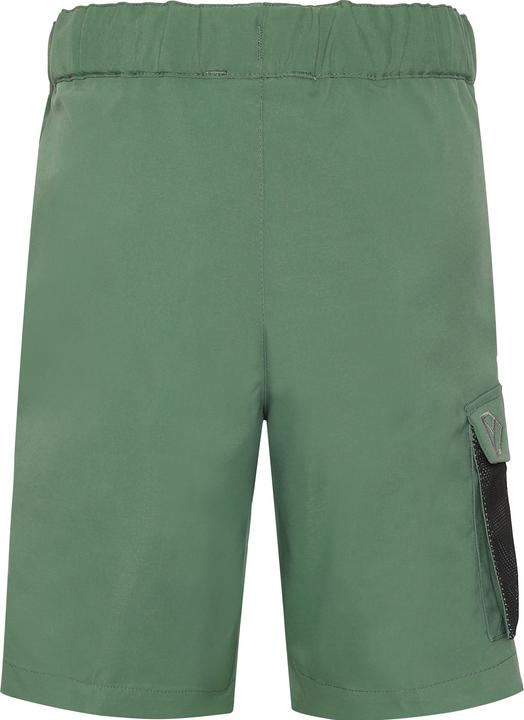 Actual product image Didriksons Kid's Eken Shorts (152)