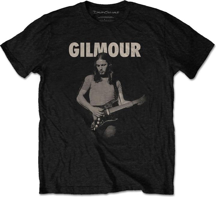 David Gilmour Selector 2Nd Position