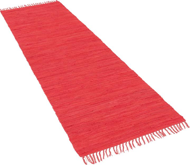 Rot