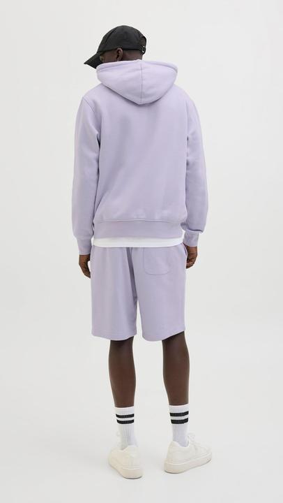 Image du produit Jack & Jones Jpstkane Vesterbro Sweat Shorts Lng Sn (XS)
