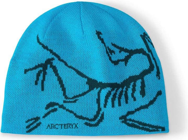 Arc'teryx Bird Head Toque (One Size)