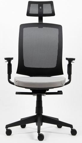 Immagine prodotto Realspace Sedia da ufficio Karl Ergo in rete, tessuto Multicolore