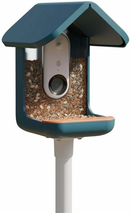 Actual product image Bird Buddy Food dispenser