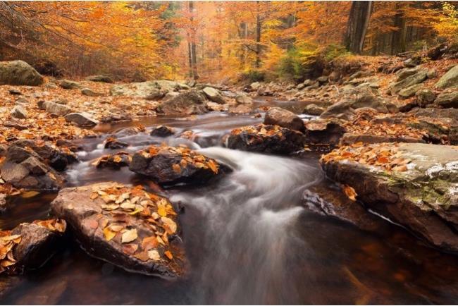 Immagine prodotto Formatt Hitech Firecrest 67 mm filtro ND ND 3.0 (10 stop) (67 mm, Filtri grigi)
