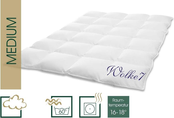 Actual product image Hanskruchen Wolke 7 (960 g, 155 x 200 cm)