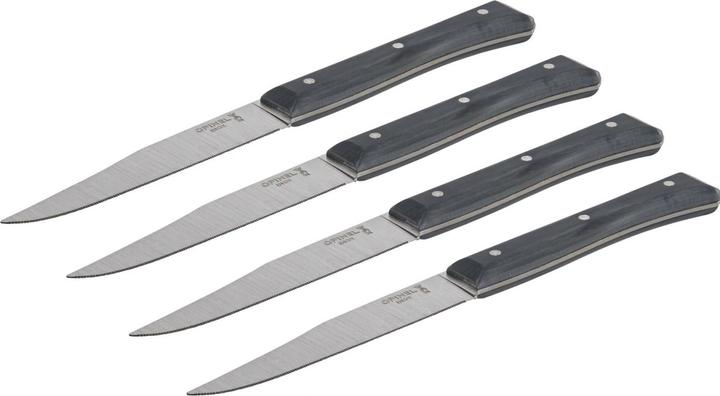 Image du produit Opinel Facette ardoise, serrated, boîte de 4 (4 pièce(s), Couteau)