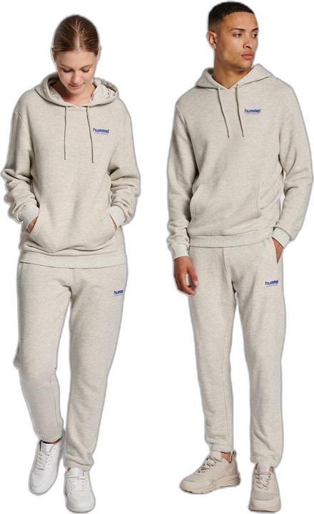 Produktbild hummel Lgc Austin Hoodie (M)