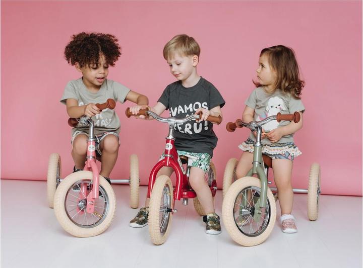 Productafbeelding Trybike Staal 2 in 1