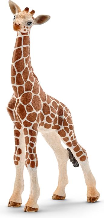 Produktbild Schleich Giraffenbaby