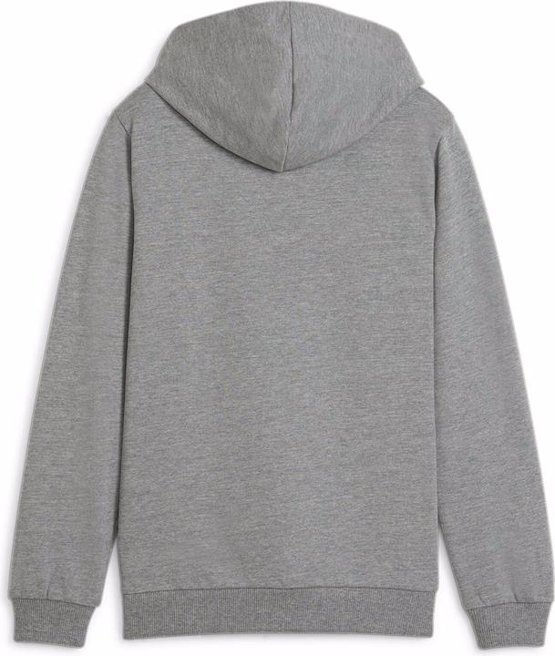 Puma teamGOAL Casuals Hoody Jr