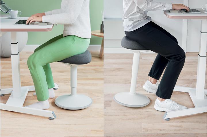 Image du produit Leitz Ergo Active