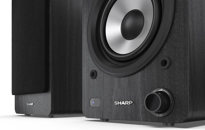 Actual product image Sharp CP-SS30 (1 pair, 60 W)