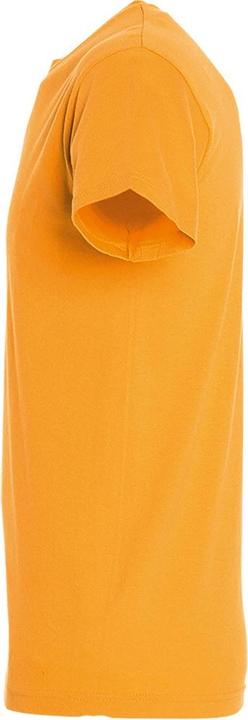 Actual product image Sols Mens Regent Short Sleeve T-Shirt (3XL)