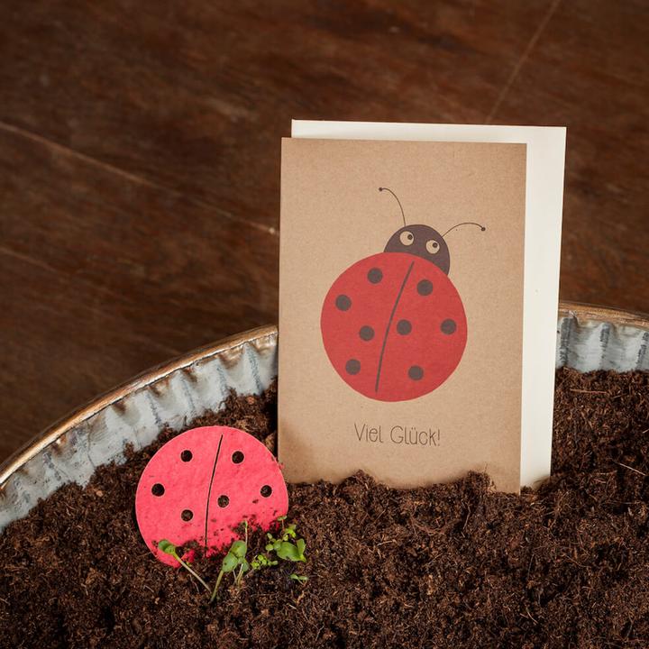 Image du produit Die Stadtgärtner Carte de voeux "Bonne chance" avec des graines de fleurs