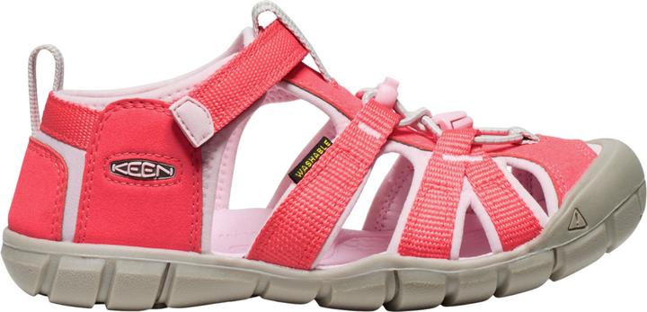 risatina rosa, Dubarry