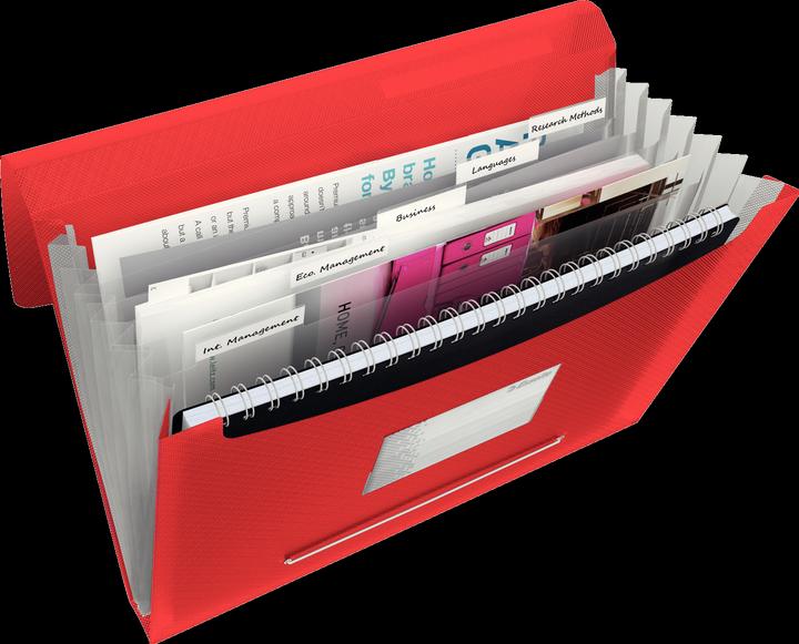 Actual product image Esselte Project File VIVIDA (A4, 1 x)
