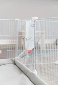 Image du produit Trixie Sol pour enclos intérieur
