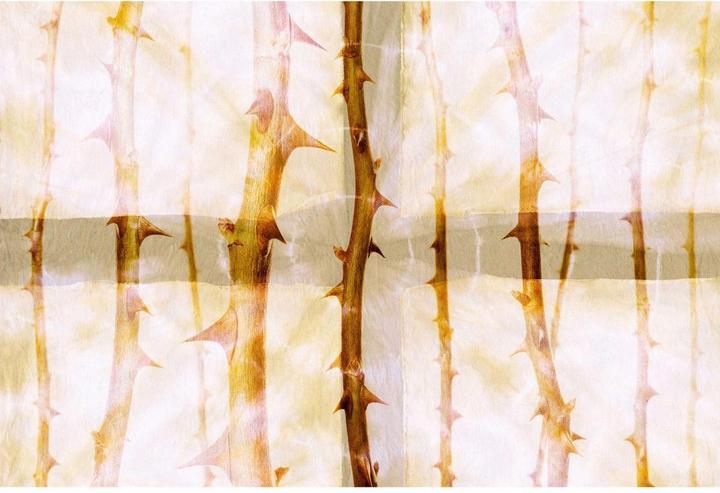 Actual product image Architects Paper Studio 47 Thorn Art Nature (400 x 270 cm)