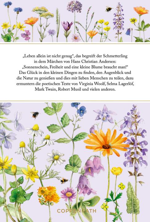 Produktbild Sonnenschein, Freiheit und eine kleine Blume braucht man (Deutsch, Kristina Schaefer, Marjolein Bastin, 2024)