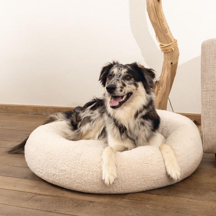 Produktbild Beeztees Memory Foam Liegebett Jaxx (Hund)
