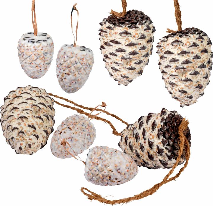 Image du produit Dobar Pomme de pin (8 x, 1.60 kg)