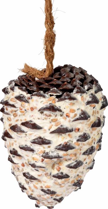 Image du produit Dobar Pomme de pin (8 x, 1.60 kg)
