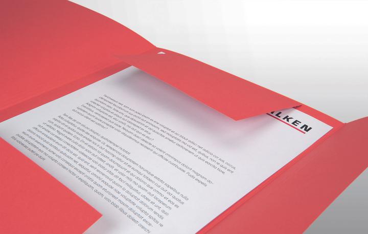 Actual product image Falken Folder, DIN A4, flaps, manila cardboard (A4, 1 x)
