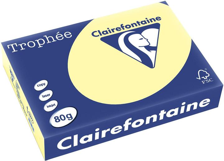 Giallo canarino