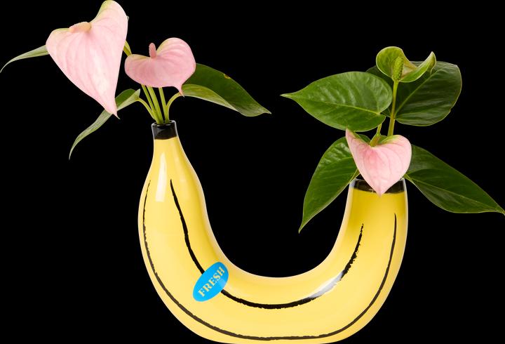 Lund-Stougaard Banane (1 x, 20 x 19 cm)